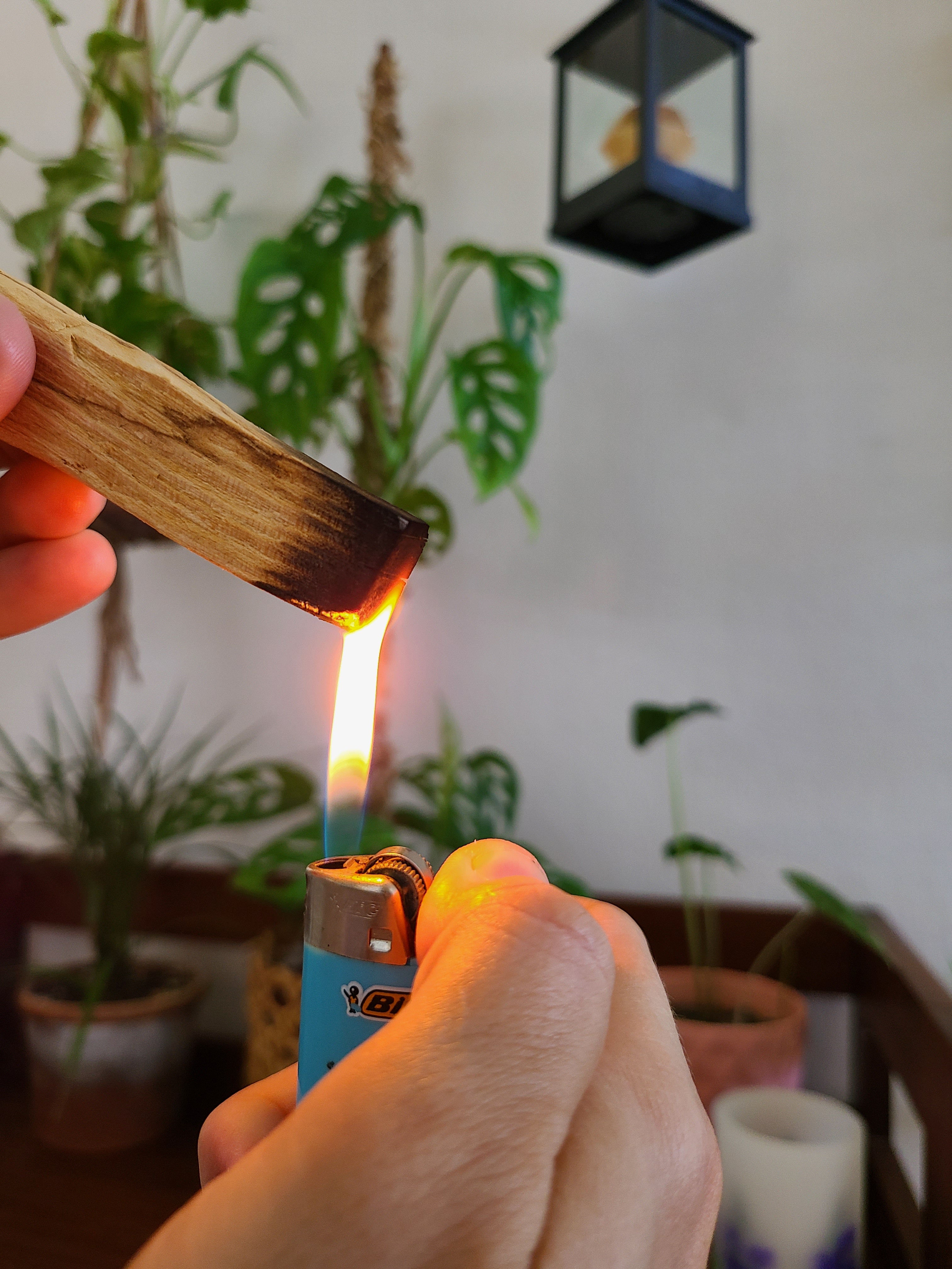 Palo Santo