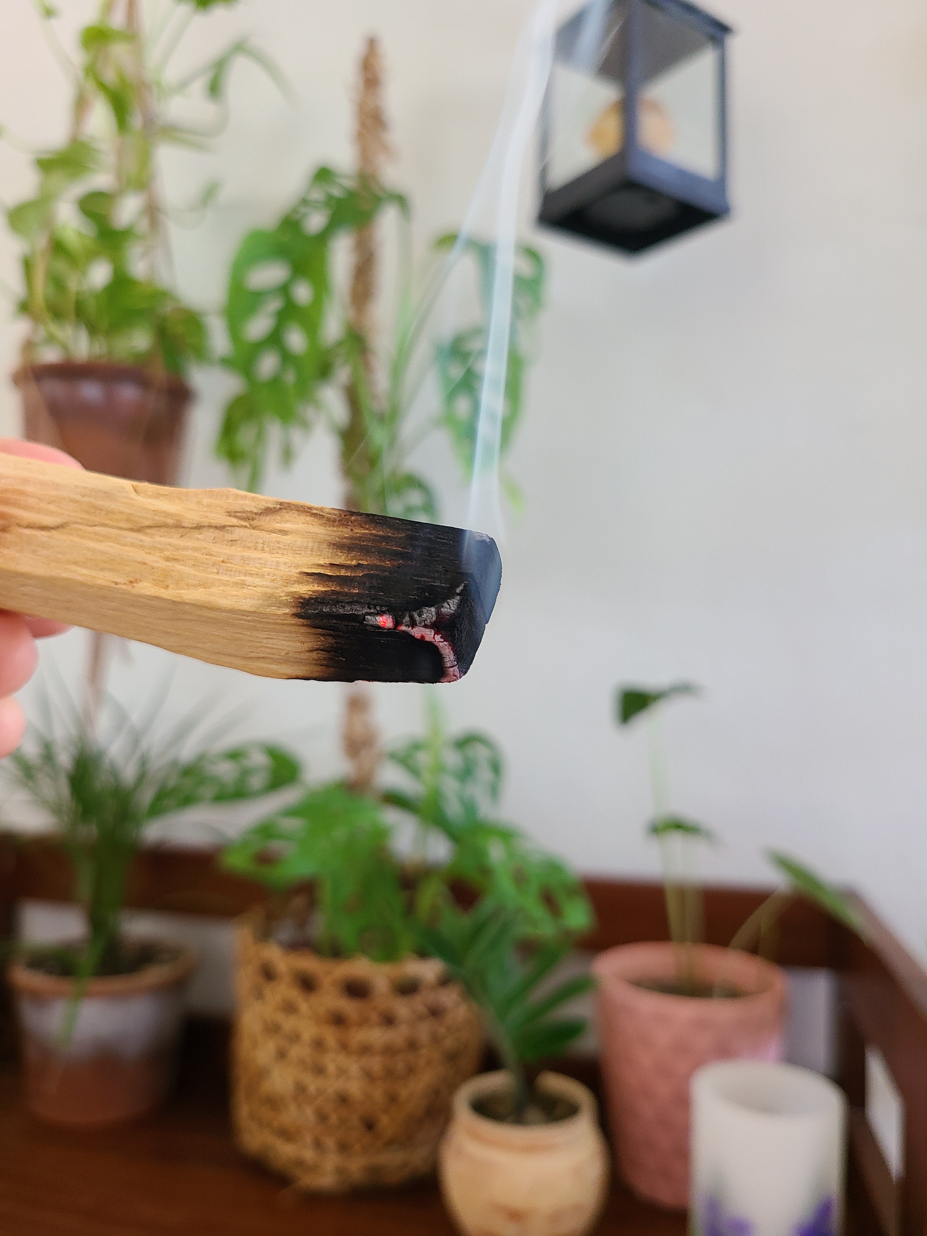 Palo Santo