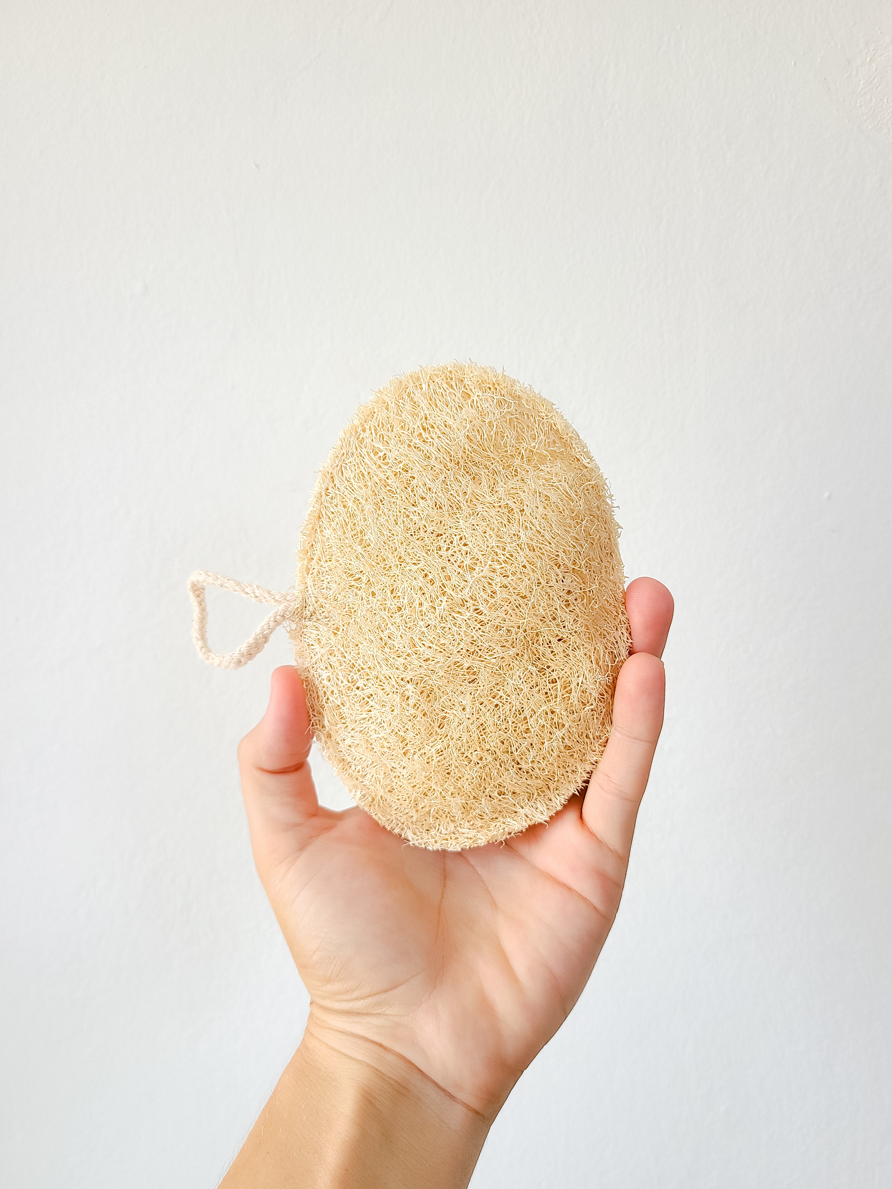 Esponja de Luffa