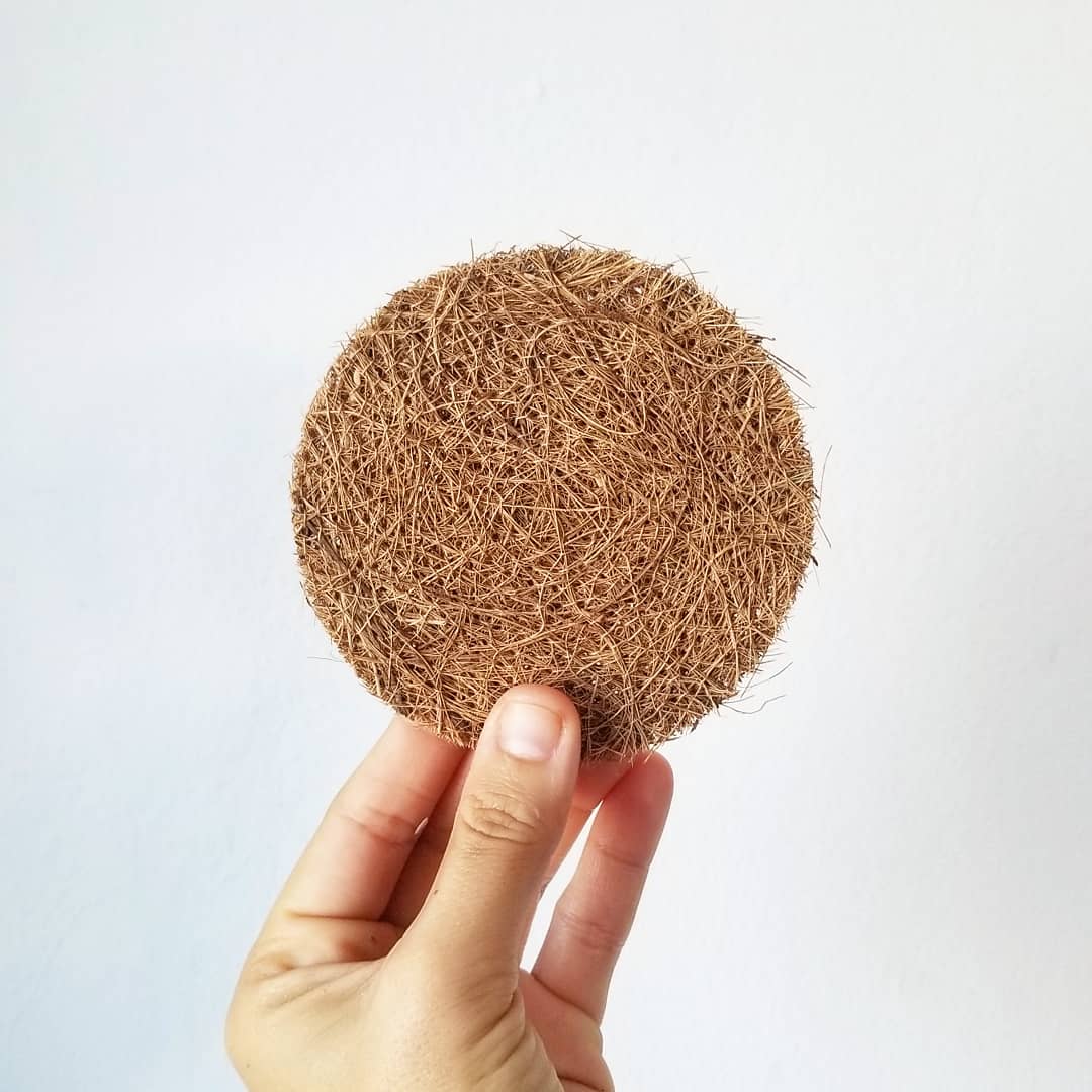 Esponja de coco