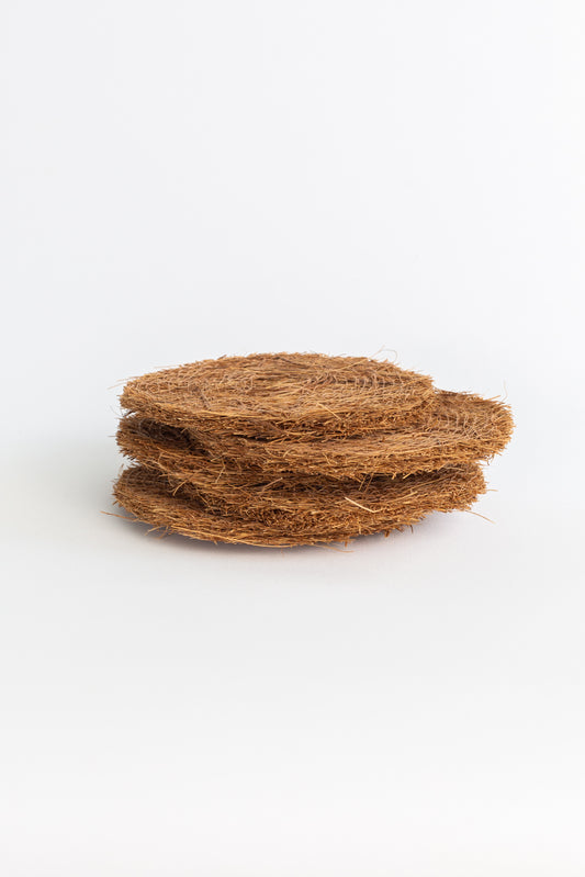 Esponja de coco