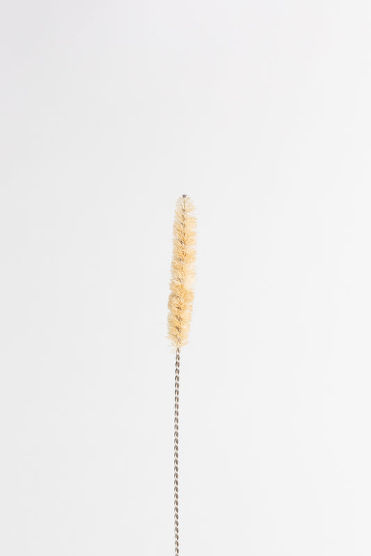 Cepillo de Sisal para Sorbetos